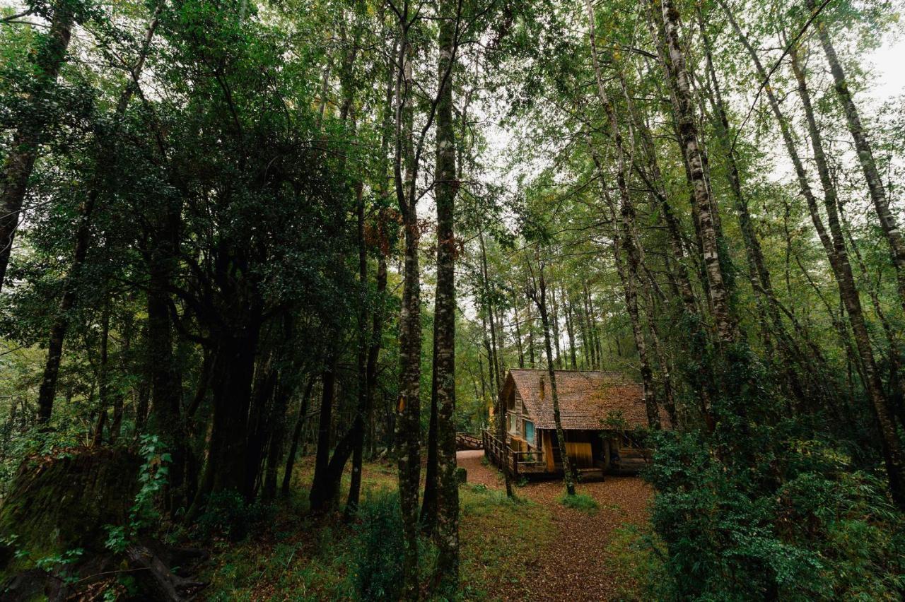 Huilo Huilo Cabanas Del Bosque Puerto Fuy Chambre photo