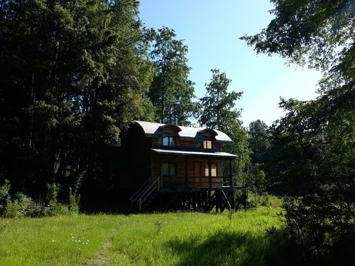 Huilo Huilo Cabanas Del Bosque Puerto Fuy Extérieur photo
