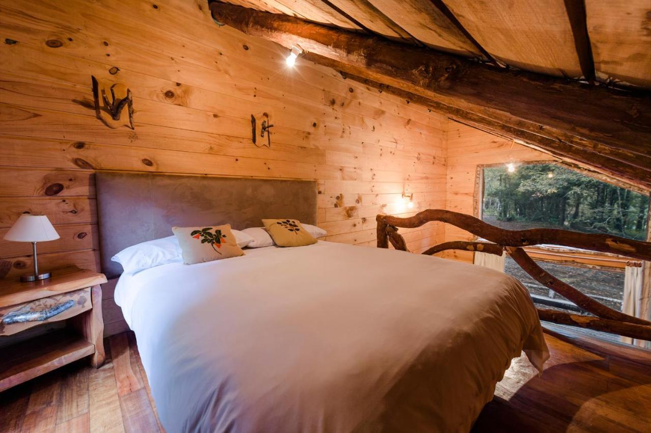 Huilo Huilo Cabanas Del Bosque Puerto Fuy Chambre photo